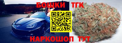индика Заволжье