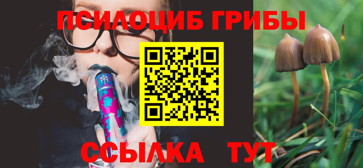 Галлюциногенные грибы Psilocybe  Вход с VPN  Михайловка 